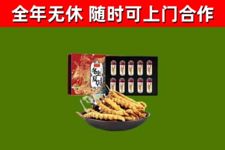 茄子河回收冬虫夏草价格